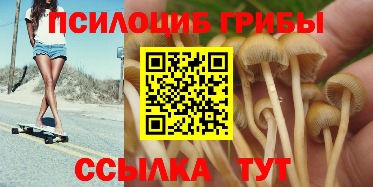Псилоцибиновые грибы Cubensis  Азнакаево 